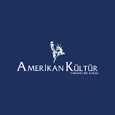 Amerikan Kültür