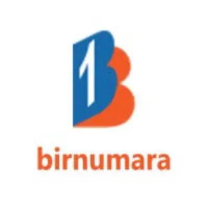 Bi̇Rnumara