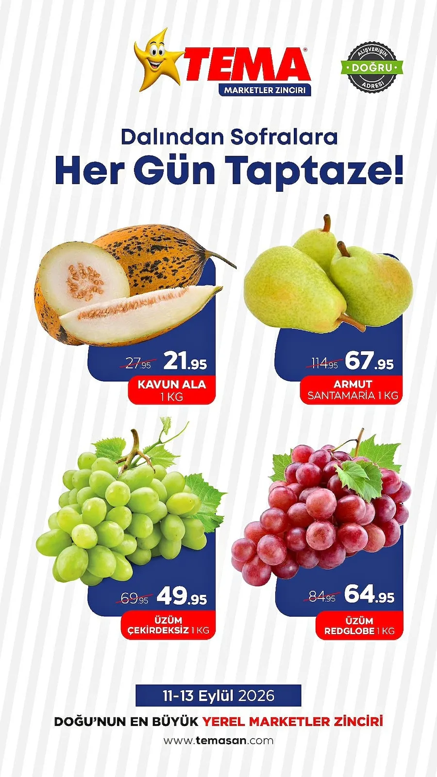 Tema Market 11 Eylül 2026 Aktüel Kataloğu